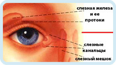 Лікування дакріоциститу Дніпро. Центр зору - офтальмологічний центр
